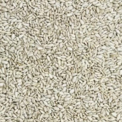 GEPELDE ZONNEBLOEMPIT 25KG