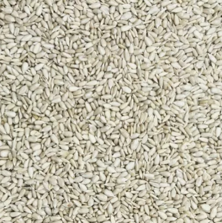 GEPELD ZONNEBLOEMPITTEN 5KG