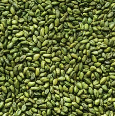 PISTACHE NOTEN GROEN HORECA 1KG-8478