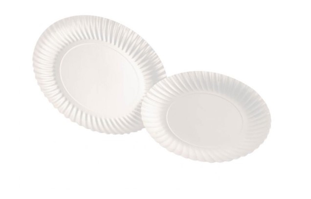 KARTON SCHOTELS 21CM 250ST