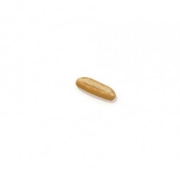 Piccolo Wit 18cm - Vers Wit Broodje Gemaakt van Natuurlijke Ingrediënten - Vermeulen