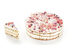 Panesco Snowwhite Fruitcake 12st-5001669