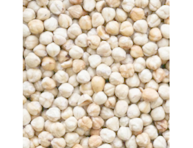Witte Hazelnoten Geroost Horeca 1kg-8407